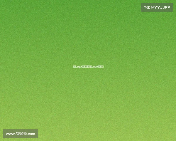 中国csgo电子竞技、中国csgo电竞战队